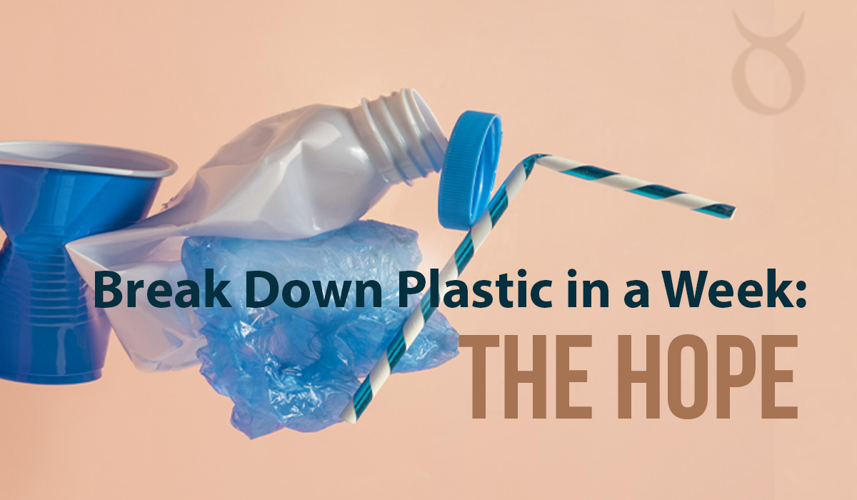 Is it Possible to Break Down Plastic in a Week? Austin Scientists Say Yes